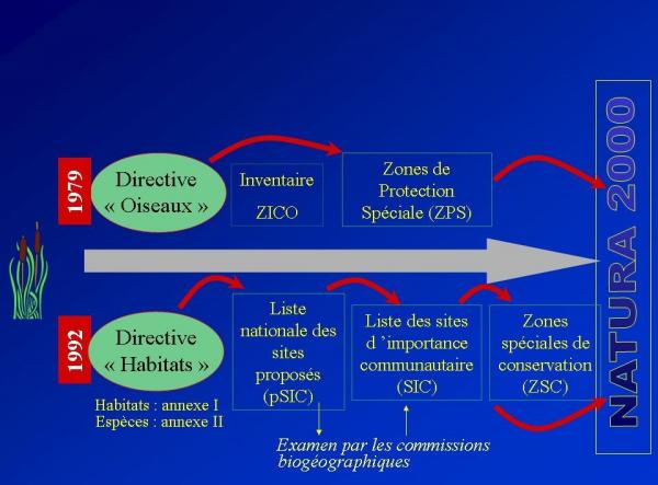 Schéma 2 directives 1 réseau